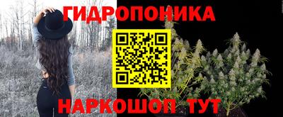 прущие грибы Ипатово