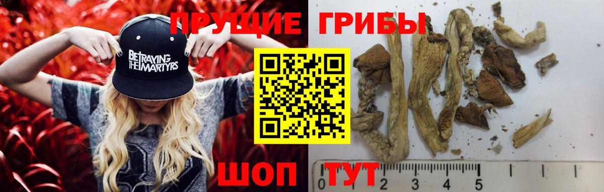 Галлюциногенные грибы Psilocybe  Вход с VPN  сколько стоит  Лыткарино 