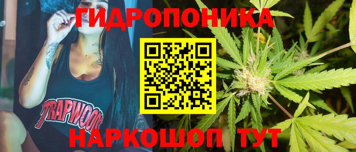 Бошки марихуана Ganja  Марихуана конопля  Лыткарино  Бошки Шишки OG Kush  Конопля сатива  Вход с VPN 